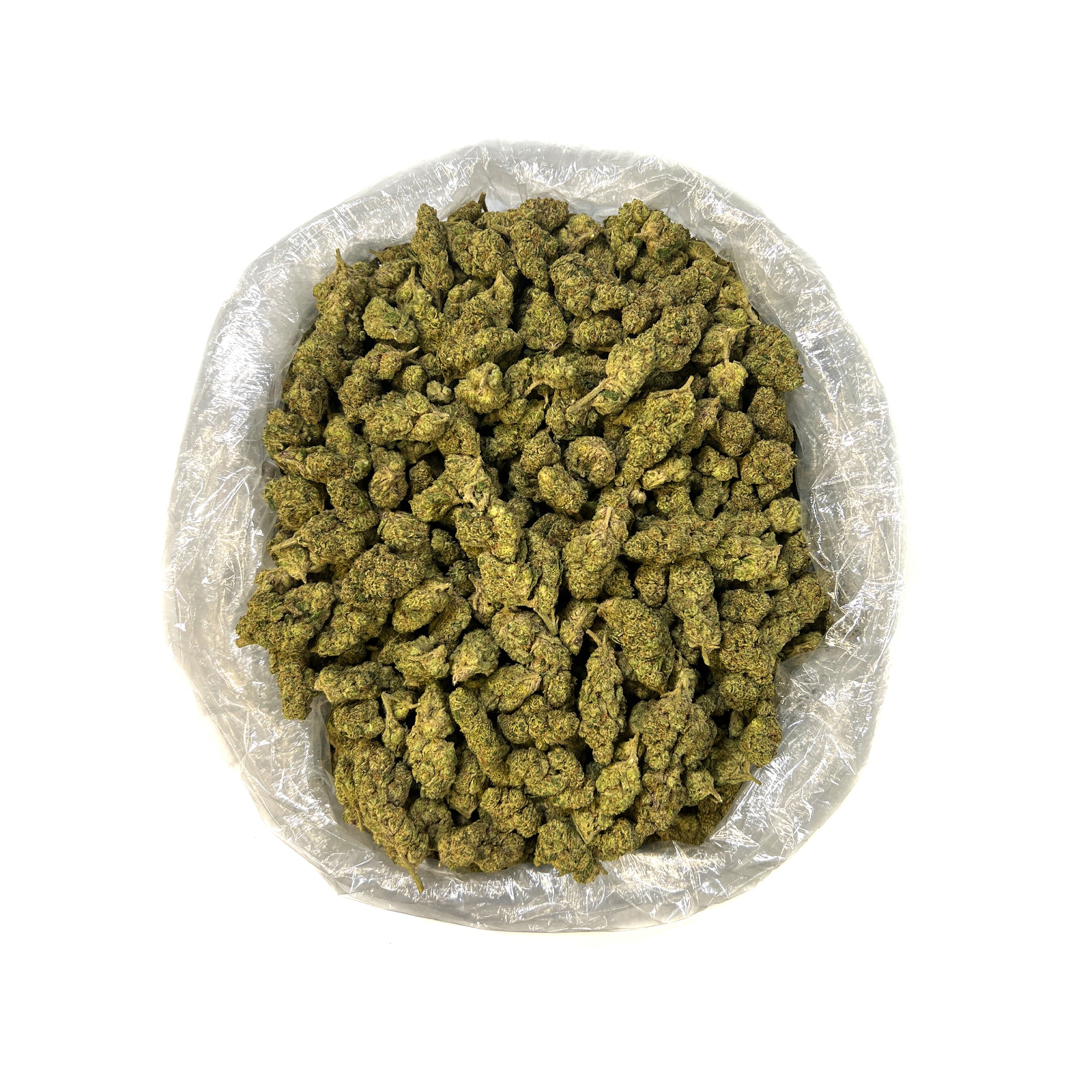 PUFFY Dutch Haze is a potent sativa THCa strain, expertly crafted from the legendary cross of Haze and Dutch Skunk. Aroma is intensely gassy with bold tar-like undertones, wrapped in a sharp, diesel-heavy scent that dominates the senses and lingers long after the first whiff. Visually, the buds are elongated and pointed, lime green with golden tones, coated in frosty trichomes and vibrant orange pistils. Consumers often describe this strain as energetic, uplifting, and euphoric, perfect for daytime use, as 