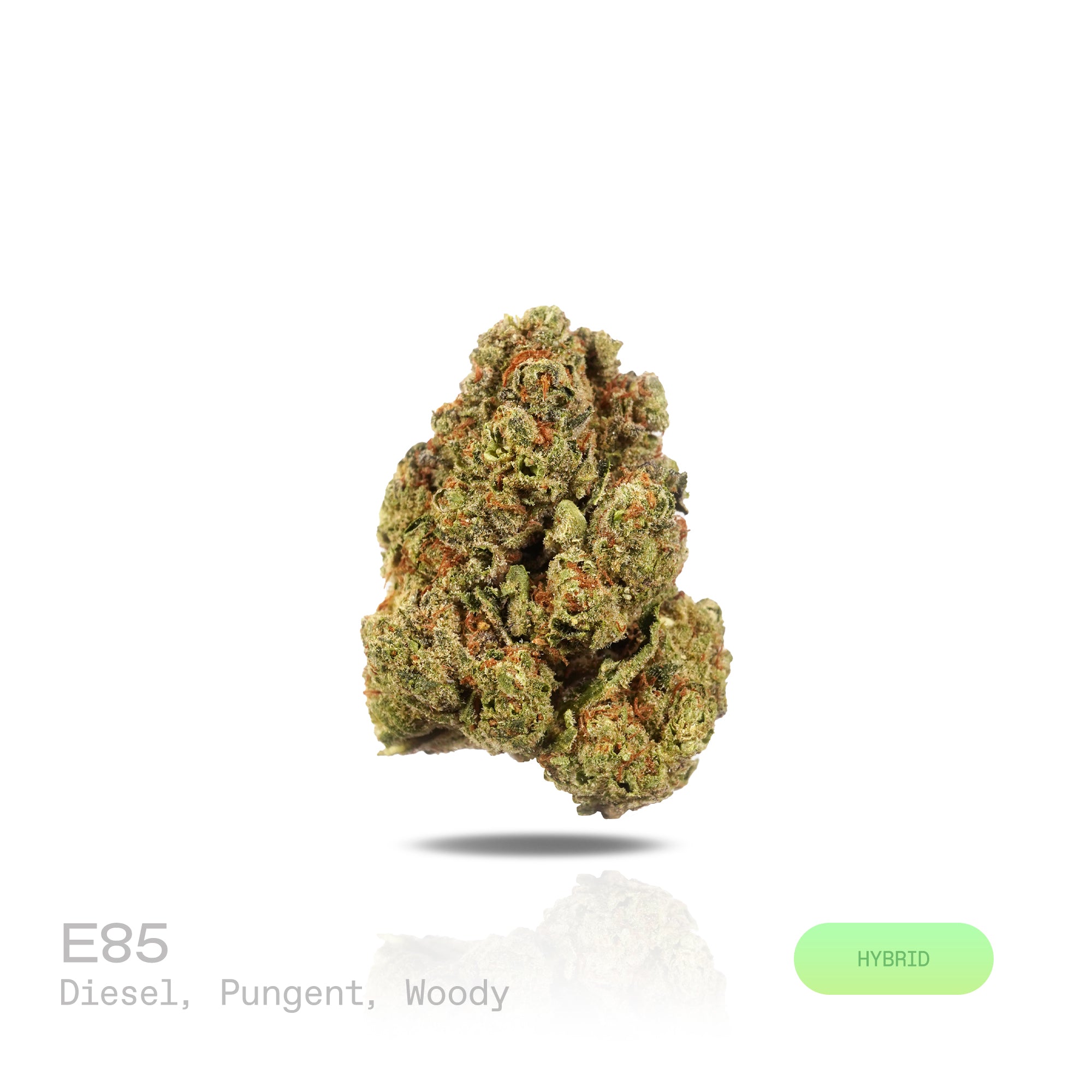 PUFFY E85 is a balanced hybrid THCa strain born from the legendary cross of Wedding Cake and Project 4516. The aroma is rich and complex, combining sharp diesel notes with a pungent intensity, rounded out by deep, earthy woody undertones. Visually, dense forest green buds with purple hues and fiery orange pistils are coated in sticky trichomes. Consumers often report a balanced high that combines euphoric happiness and an uplifted mood, soothing relaxation and a gentle body buzz, and calming effects that he