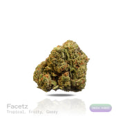 PUFFY Facetz is a potent Indica-dominant hybrid THCa strain, born from the flavorful cross of Pavé and Gastro Pop. The aroma is a vibrant blend of tropical and fruity notes, think ripe mango, citrus, and pineapple, balanced by a bold, gassy undertone that adds depth and lingers on the senses. Visually, the buds are dense and frosty, showcasing vibrant purple, green, and orange hues with a gem-like sparkle. Consumers often describe a bright cerebral lift that enhances mood and sharpens the senses, followed b