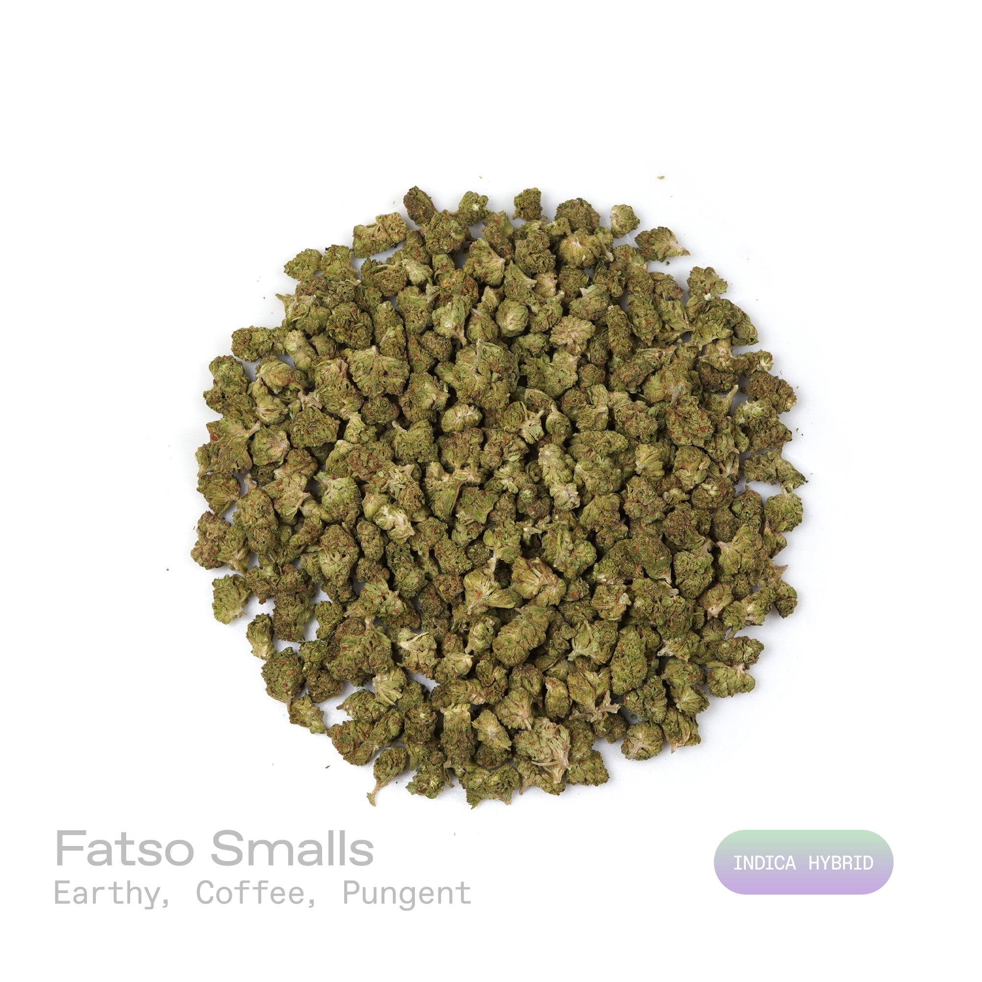 PUFFY Fatso (smalls) is a balanced hybrid THCa strain, hailing from the potent union of GMO (Garlic Cookies) and Legend OG. The aroma greets the senses with rich earthy tones, blended seamlessly with robust coffee notes and a sharp, pungent edge. Visually, the buds are dense and deep forest green, highlighted by rich purple hues and bright orange pistils, all coated in a sparkling layer of trichomes. Consumers often report a profound sense of full-body relaxation, accompanied by soothing euphoria and a gent