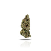 PUFFY Florida Cake is a potent indica-dominant hybrid THCa strain created from the flavorful cross of Triangle Kush (also known as Florida OG) and the dessert-like Wedding Cake. It delivers a rich flavor profile of creamy vanilla and earthy kush, with a subtle citrus zest on the exhale. The aroma offers a unique and intriguing blend of sweet vanilla, creamy cheese, and ripe fruit. Visually, the buds are dense and frosty, showcasing deep forest green hues with occasional purple undertones, especially in cool