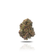 PUFFY Forbidden Fruit THCa is a hybrid of Cherry Pie and Tangie, boasting dense, vibrant buds with deep purple tones, dark green leaves, and striking orange hairs. Flavor is sweet, musky cherry notes complemented by hints of pine, mango, and passionfruit candy. Users describe its effects as hitting hard behind the eyes and delivering profound physical relaxation and mental calm with every puff. Ideal for easing minor discomfort and melting away stress.