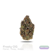 PUFFY Frosty OG is an indica-dominant THCa strain, a vibrant cross between OG Kush × Frostbite. The aroma is a captivating blend of floral notes, fresh pine, and a hint of diesel, creating a rich and invigorating scent profile. Visually, the buds are dense and vibrant green, highlighted with deep purple accents and fiery orange pistils, all generously coated in a sparkling layer of sticky trichomes. Consumers often report a deeply relaxed and calm experience that gently eases tension, while also uplifting t