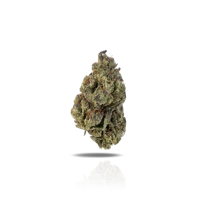 PUFFY Garanimals is a potent Indica-dominant THCa strain, bred from the flavorful cross of Grape Pie and Animal Cookies, known for its rich effects and bold genetics. The aroma bursts with sweet, candy-like notes layered over a sharp undertone of fresh pine creating a nostalgic yet invigorating scent profile that’s both playful and grounding. The flavor mirrors the aroma, delivering a smooth blend of sugary candy and crisp pine on the exhale. Visually, the buds are fluffy and spade-shaped with dark green an