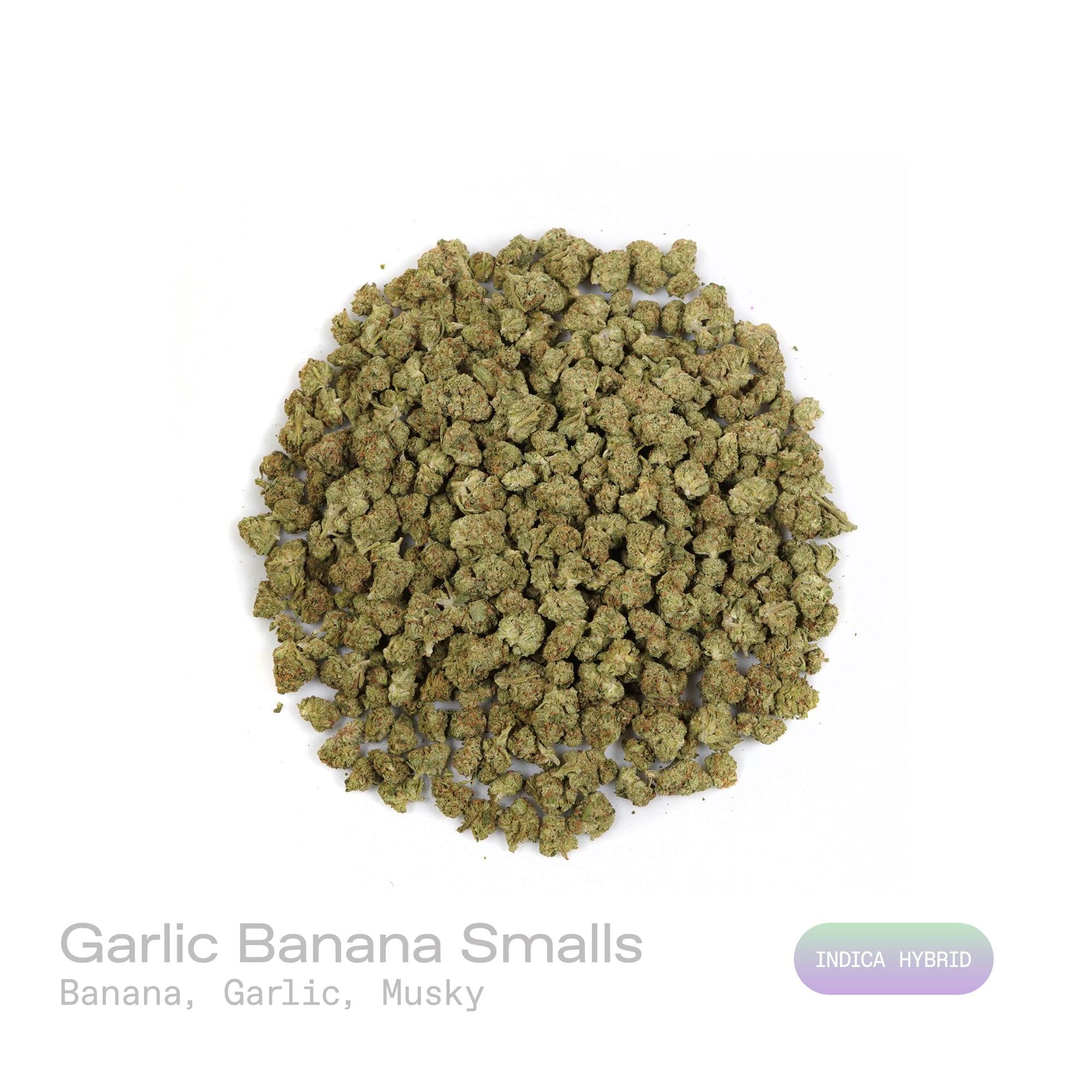 PUFFY Garlic Banana (smalls) is an Indica-dominant hybrid THCa strain born from the flavorful cross of Garlic Cookies × Black Bananas. The aroma comes through with a bold blend of sweet banana layered over sharp garlic notes, rounded out by a deep, musky undertone. Visually, the resinous buds feature forest-green and purple tones, bright orange pistils, and a frosty trichome coating. Consumers often report a burst of uplifting, euphoric creativity that gradually melts into a soothing full-body calm, gently 