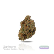 PUFFY Garlicane is an indica-dominant hybrid THCa strain, created by crossing GMO × Slurricane. The aroma combines a bold kick of pickled garlic with a sweet, candy-like finish, creating a uniquely savory-sweet profile. Visually, the buds are dense and deep green with purple hues, bright pistils, and a heavy frost of trichomes. Consumers often report a soothing body melt paired with gentle tingles, balanced by a calm, euphoric state of mind.
