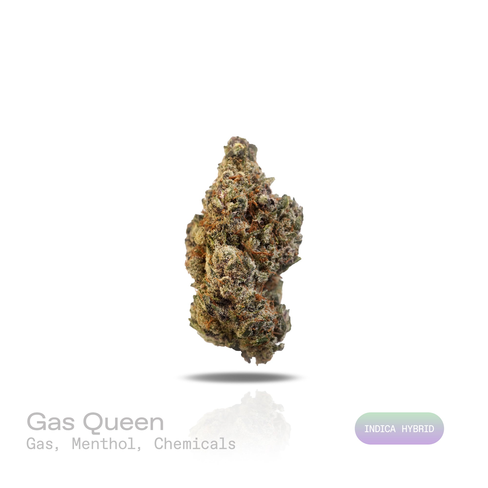 PUFFY Gas Queen is an indica-dominant hybrid THCa strain born from the potent fusion of All Gas OG and Dream Queen. Aroma is a bold fusion of sharp gas, crisp menthol, and a lingering chemical edge intense and unmistakably potent. Visually dense and chunky, the buds display a striking blend of deep forest green and rich purple hues, accented by fiery orange pistils and enveloped in a thick, glistening layer of frosty trichomes. Consumers often report that it delivers a powerful body characterized by deep ph