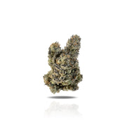 PUFFY Gascotti is a rare indica-dominant hybrid THCa strain created from the popular Biscotti and an undisclosed hybrid, resulting in a potent and flavorful experience. It carries a bold, gassy aroma layered with spicy diesel, earthy herbs, and subtle nutty notes. The flavor is sweet and sugary with nutty richness, finishing with hints of spicy diesel and earth on the exhale. Visually, the buds are airy and spade-shaped, showcasing a forest green color with emerald undertones, thin orange hairs, and a frost
