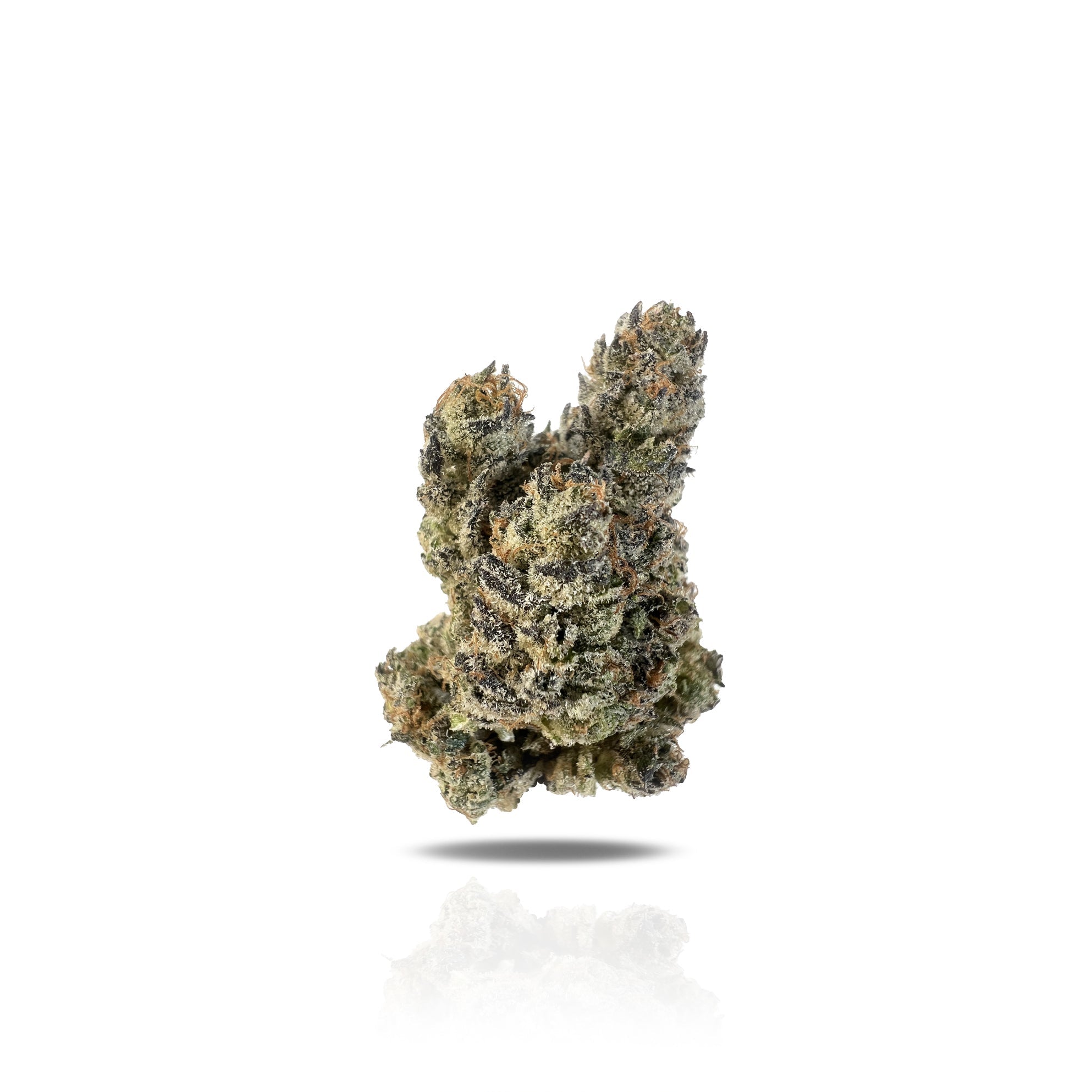 PUFFY Gascotti is a rare indica-dominant hybrid THCa strain created from the popular Biscotti and an undisclosed hybrid, resulting in a potent and flavorful experience. It carries a bold, gassy aroma layered with spicy diesel, earthy herbs, and subtle nutty notes. The flavor is sweet and sugary with nutty richness, finishing with hints of spicy diesel and earth on the exhale. Visually, the buds are airy and spade-shaped, showcasing a forest green color with emerald undertones, thin orange hairs, and a frost