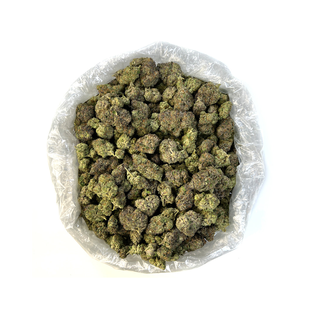 PUFFY Gaslato is a hybrid THCa strain born from the genetic cross of Gelato and Gas, offering a creamy, gassy blend with a sweet and sour flavor profile. Users report experiencing effects such as euphoria, relaxation, and enhanced creativity. Many have shared that they turn to this strain to help manage symptoms associated with depression, anxiety, and pain. The flavor profile of Gaslato is described as rich and complex, featuring notes of diesel, vanilla, and mint. Its dominant terpene, caryophyllene, adds