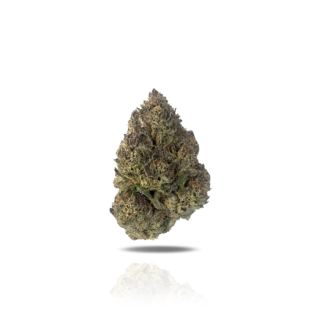 PUFFY Gaslato is a hybrid THCa strain born from the genetic cross of Gelato and Gas, offering a creamy, gassy blend with a sweet and sour flavor profile. Users report experiencing effects such as euphoria, relaxation, and enhanced creativity. Many have shared that they turn to this strain to help manage symptoms associated with depression, anxiety, and pain. The flavor profile of Gaslato is described as rich and complex, featuring notes of diesel, vanilla, and mint. Its dominant terpene, caryophyllene, adds