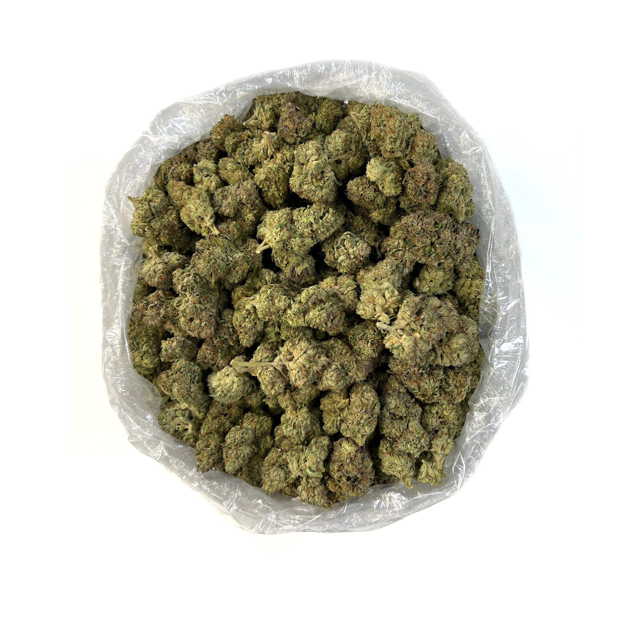 PUFFY Gasoline Ice Cream is a hybrid THCa strain born from a cross between the classic Girl Scout Cookies and a specially selected male cultivar. This strain offers a unique flavor profile that blends sweet, creamy vanilla and ice cream-like notes with sharp, gassy undertones, delivering a rich and layered taste experience. Its aroma complements the flavor with hints of sweet cream, vanilla, and subtle banana. Visually, the buds are dense and heavily frosted with sparkling trichomes, giving them an ice crea