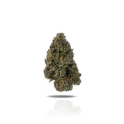 PUFFY Gasoline Ice Cream is a hybrid THCa strain born from a cross between the classic Girl Scout Cookies and a specially selected male cultivar. This strain offers a unique flavor profile that blends sweet, creamy vanilla and ice cream-like notes with sharp, gassy undertones, delivering a rich and layered taste experience. Its aroma complements the flavor with hints of sweet cream, vanilla, and subtle banana. Visually, the buds are dense and heavily frosted with sparkling trichomes, giving them an ice crea