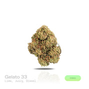 PUFFY Gelato 33 is a balanced hybrid THCa strain, expertly crafted by crossing the legendary Sunset Sherbet and Thin Mint GSC. The aroma bursts with zesty lime and juicy fruit notes, layered over a sharp, classic diesel undertone. Visually, the buds are compact and chunky, with dark green to purple hues, vibrant orange pistils, and a frosty trichome coat. Consumers often report fast-acting, uplifting effects that bring mental clarity, elevated mood, stress relief, and a natural ease that enhances creativity
