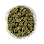 PUFFY Gelato 41 is a hybrid THCa strain, crafted from the fusion of Sunset Sherbert and Thin Mint Cookies. Users reported its ability to deliver a deeply relaxing body high while keeping the mind clear, it’s a favorite for unwinding without losing focus. Its visually stunning buds showcase a spectrum of colors, from light green to vibrant purple, all dusted with trichomes that emit a sweet, earthy aroma with subtle hints of lavender and pine.