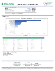 PUFFY Gelato #41 (smalls) is an indica-dominant hybrid THCa strain, expertly crafted from a potent cross between Sunset Sherbet and Thin Mint Cookies. The aroma is a bold blend of sharp chemicals, zesty citrus, and pungent gassy notes, creating a striking and memorable scent profile. Visually, buds are dense and frosty, featuring deep green and purple hues with bright orange pistils and a thick coating of sparkling trichomes. Consumers often report an uplifting euphoria that energizes the mind, boosts creat