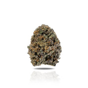 PUFFY Gelato #41 is a slightly indica-dominant hybrid THCa strain, born from the flavorful union of Sunset Sherbet and Thin Mint Girl Scout Cookies. This strain boasts a rich and layered aroma, blending sweet notes with tropical guava and a floral hint of lavender. Expect a burst of fruity sweetness balanced by zesty citrus, smooth vanilla, and a cool touch of mint. Its dense, eye-catching buds showcase a vibrant palette of forest green and deep purples, highlighted by fiery orange pistils and a thick frost