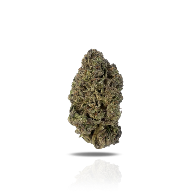 PUFFY Gelato 44 is an Indica-dominant hybrid THCa strain born from the flavorful cross of Sunset Sherbet and Thin Mint Girl Scout Cookies. The aroma delivers a rich fusion of earthy depth, creamy smoothness, and a bold gassy punch, offering a full-bodied sensory experience that mirrors its potent character. Visually, the buds are dense, frosty, and resin-coated, showcasing deep forest greens accented with purple hues and vivid orange pistils. Consumers often report an initial cerebral rush that feels uplift