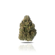 PUFFY Ice Cream Gelato is a hybrid THCa strain, crafted by crossing Ice Cream Cake with Gelato 41. This dessert-inspired strain is as visually stunning as it is flavorful, showcasing chunky, frosty buds in shades of deep purple and dark green, sparkling with a thick layer of trichomes. Consumers claim that it has euphoric, relaxing, and slightly sedating effects, often describing feelings of giggly joy, calm relaxation, and a sociable, talkative mood. The dominant terpene, caryophyllene, lends a rich vanill