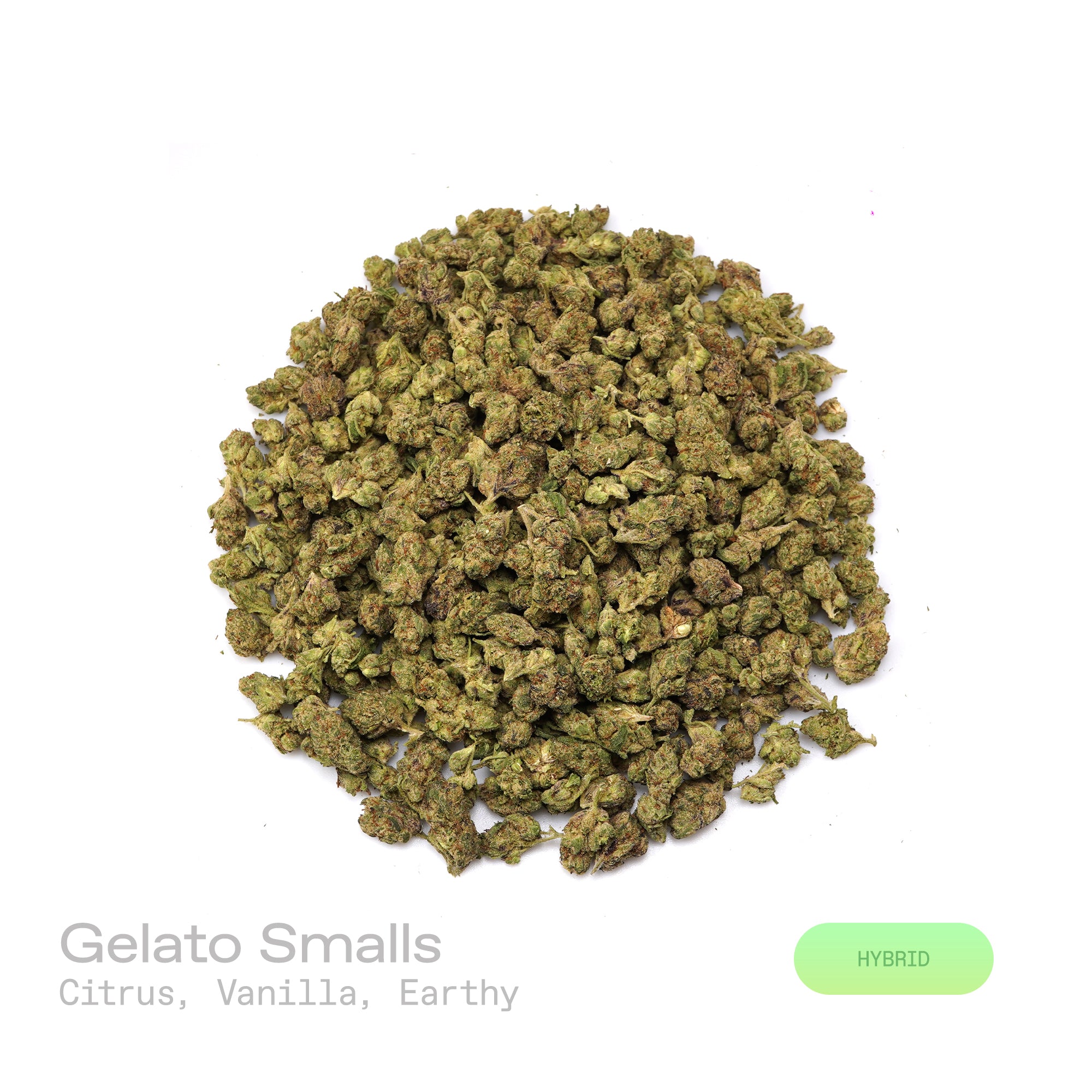 PUFFY Gelato (smalls) is a balanced hybrid THCa strain, created by crossing Sunset Sherbet and Thin Mint Girl Scout Cookies. The aroma combines bright citrus notes with smooth hints of vanilla and a grounding earthy undertone. Visually, the buds are dense and dark green with subtle purple hues, highlighted by bright orange pistils and a generous coating of frosty trichomes. Consumers often report a cerebral uplift and sense of euphoria, promoting an elevated mood, creativity, and sociability, accompanied by