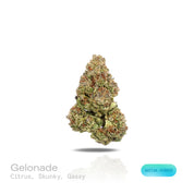 PUFFY Gelonade is a sativa-dominant hybrid THCa strain created by crossing Lemon Tree with Gelato #41. The aroma bursts with bright citrus notes, complemented by a skunky earthiness and a subtle, gassy undertone that lingers enticingly. Visually, the buds have a dense, grape-like structure, showcasing lime-green tones with purple hues and orange pistils, all coated in glistening trichomes. Consumers often report a bright, uplifting experience with a clear-headed cerebral buzz that boosts creativity, focus, 