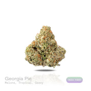 PUFFY Georgia Pie is an indica-dominant hybrid THCa strain, born from the renowned fusion of Gelatti × Kush Mints. The aroma is a juicy blend of ripe melons and tropical fruit, layered with a distinct gassy undertone that adds depth and a bold, pungent edge to the profile. Visually, dense emerald green buds with purple hues and fiery orange pistils are coated in sticky trichomes. Consumers often report a soothing, body-relaxing experience paired with a mellow yet uplifted and gently active headspace, reflec