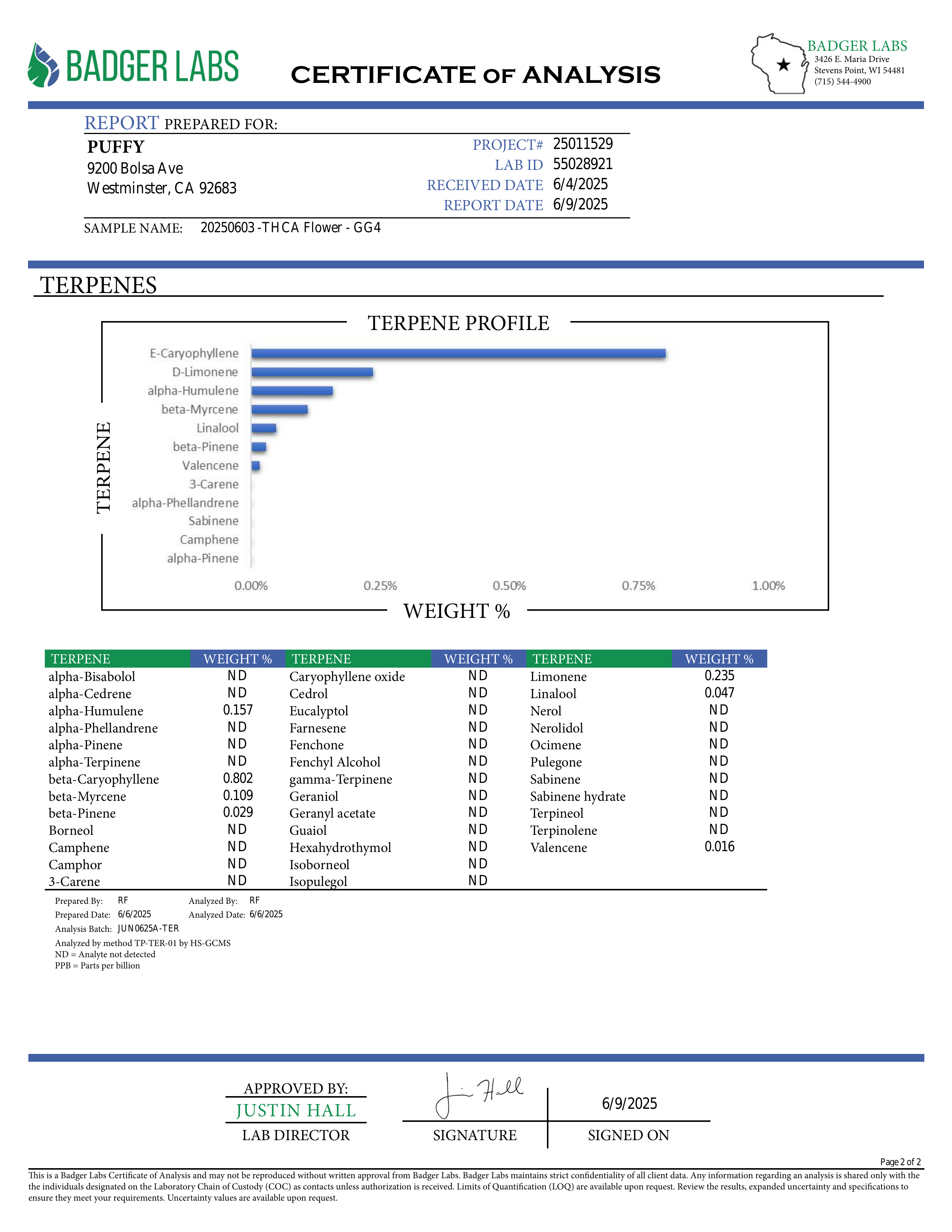 PUFFY GG4, also known as Gorilla Glue #4 or Original Glue, is a potent hybrid THCa strain created from a cross between Chem’s Sister, Sour Dubb, and Chocolate Diesel. This strain boasts a bold and pungent aroma a powerful fusion of gas and sharp menthol, delivering a refreshing scent with a distinct icy edge. The flavor profile is equally rich, offering a harmonious blend of earthy tones, subtle sweetness, and delicate hints of chocolate and coffee. Visually, the buds are dense and chunky, showcasing a vibr