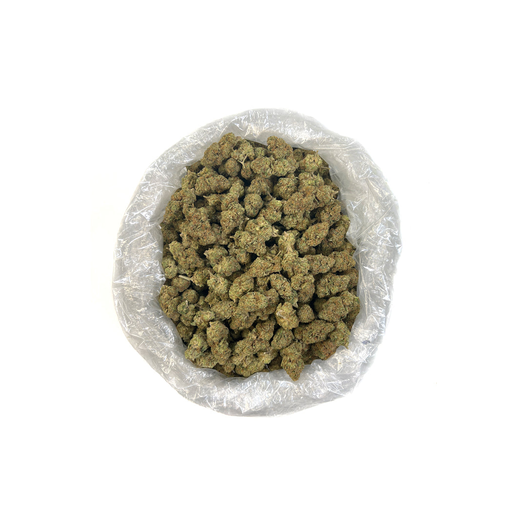 While its exact origins remain unknown, PUFFY Girl Scout Cookies THCa prides itself on a renowned lineage rooted in the classic OG Kush and Durban Poison. This indica-dominant strain features olive and yellow-green flowers with burnt-orange pistils and a sweet, earthy aroma with hints of mint and spice, delivering a rich, flavorful smoke. Its compelling effects will take you on a euphoric journey, both elevating the mind and grounding the body for a deeply calming experience. Girl Scout Cookies’ legendary v