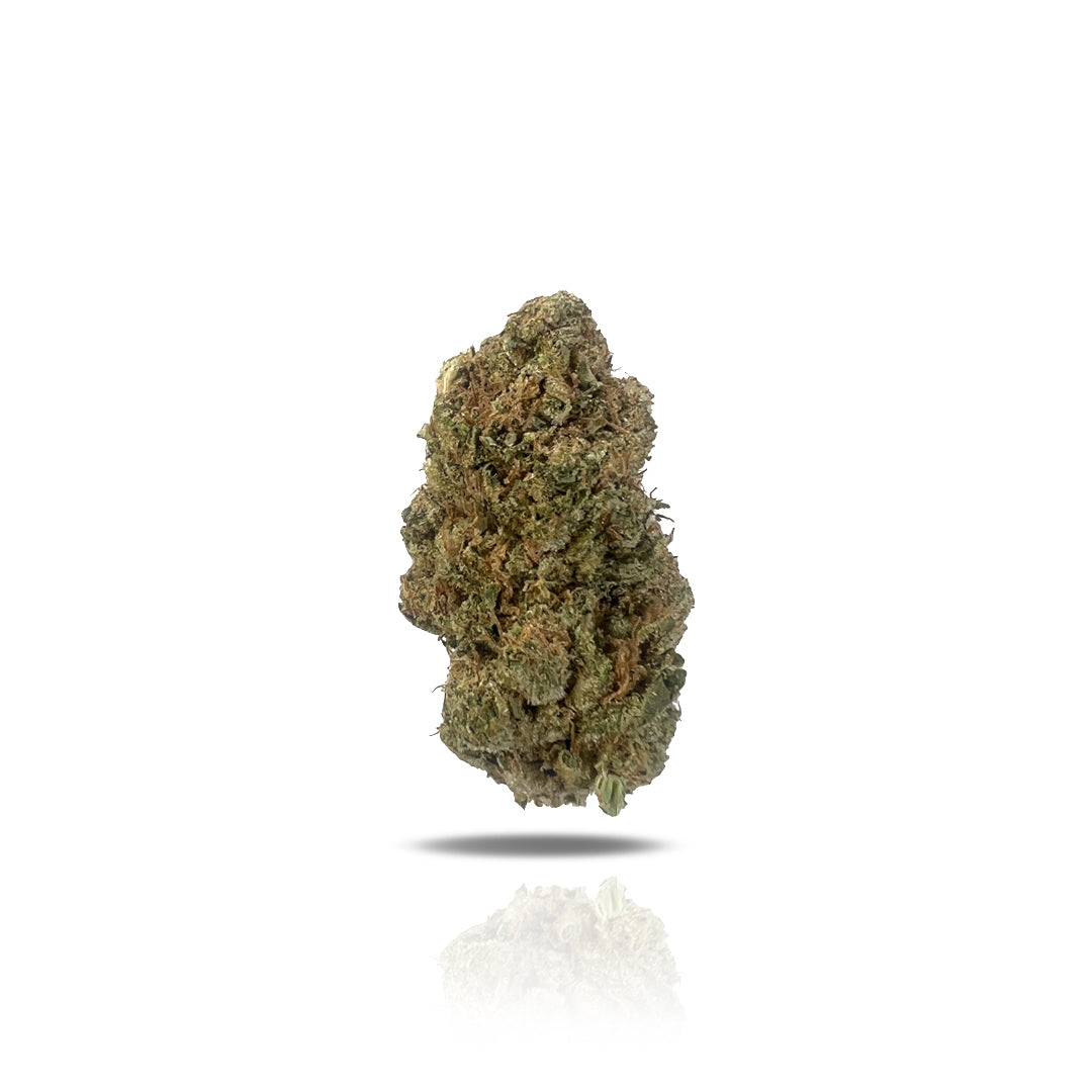 While its exact origins remain unknown, PUFFY Girl Scout Cookies THCa prides itself on a renowned lineage rooted in the classic OG Kush and Durban Poison. This indica-dominant strain features olive and yellow-green flowers with burnt-orange pistils and a sweet, earthy aroma with hints of mint and spice, delivering a rich, flavorful smoke. Its compelling effects will take you on a euphoric journey, both elevating the mind and grounding the body for a deeply calming experience. Girl Scout Cookies’ legendary v