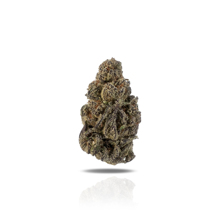 PUFFY Glitter Bomb is an indica-dominant hybrid THCa strain born from the flavorful cross of Grape Gas #10 and OGKB Blueberry Headband. Aroma is bright citrus layered with delicate floral undertones, offering a fresh, invigorating bouquet that’s both uplifting and soothing. The flavor is sweet and fruity, bursting with notes of berry, blueberry, grape, and citrus, rounded out by hints of skunk and spicy herbs. Visually, the buds are stunning dark purple-olive in color, accented by vibrant orange hairs, and 