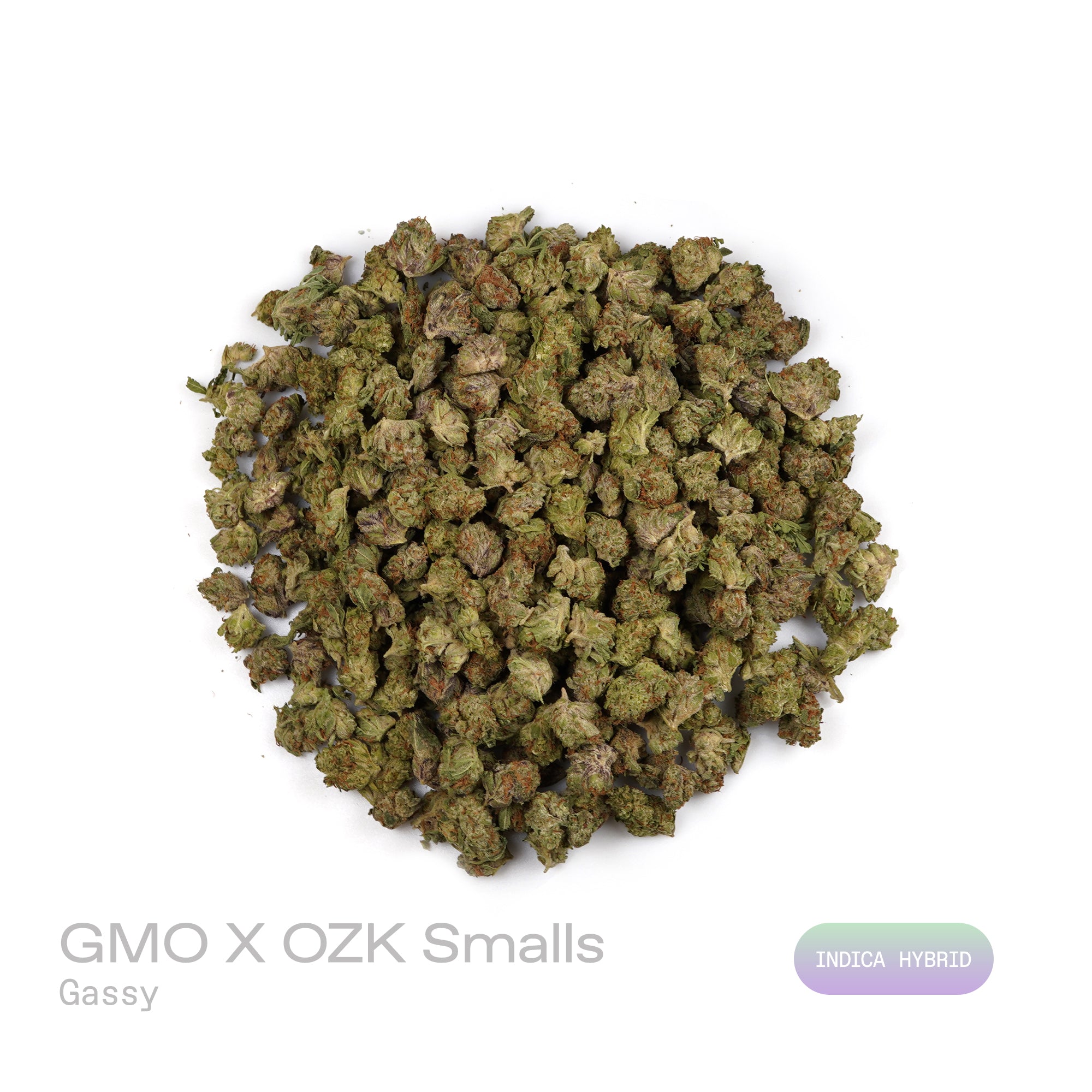 PUFFY GMO x OZK (smalls) is an indica-dominant hybrid THCa strain, born from the legendary cross between GMO (Garlic Cookies) and OZ Kush (OG Kush x Zkittlez). The aroma is distinctly gassy, delivering a sharp, pungent scent that immediately commands attention. Visually striking, the buds are dense, with deep greens and purples glinting beneath a frosty layer of trichomes. Consumers often report a deep, soothing body relaxation paired with a blissful, uplifting mental high.
