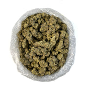 PUFFY Gold Cash is a premium, indica-dominant hybrid THCa strain created by crossing Oreoz and Pure Michigan. It offers a rich aroma of creamy chocolate cookies, spicy diesel, nutty vanilla, and earthy undertones. The flavor profile delivers sweet chocolate and creamy vanilla notes, layered with hints of spicy black pepper and herbal accents. The buds are dense and well-formed, showcasing vibrant green hues with golden highlights and a generous coating of amber-tinted trichomes that give them a sparkling, r