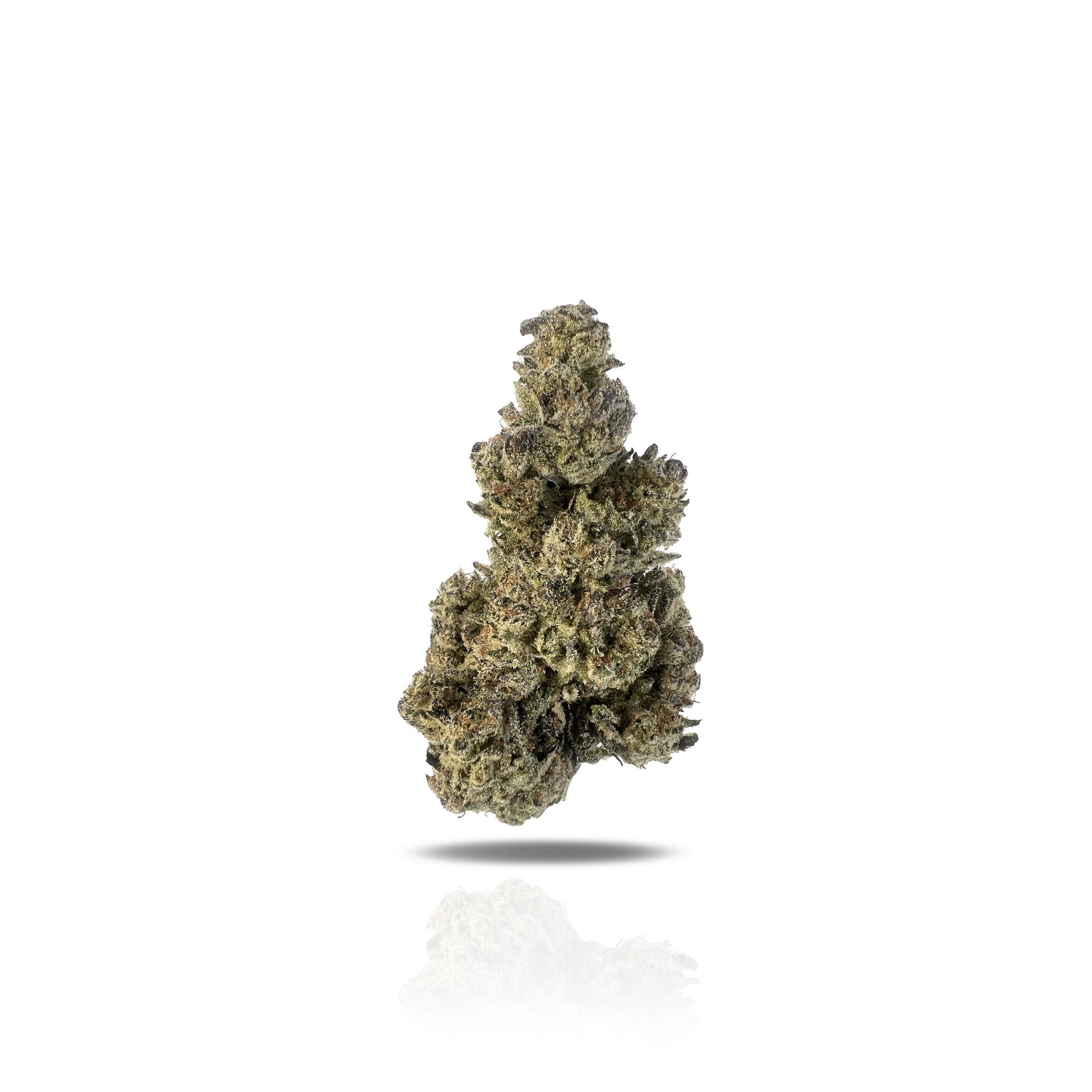PUFFY Gold Cash is a premium, indica-dominant hybrid THCa strain created by crossing Oreoz and Pure Michigan. It offers a rich aroma of creamy chocolate cookies, spicy diesel, nutty vanilla, and earthy undertones. The flavor profile delivers sweet chocolate and creamy vanilla notes, layered with hints of spicy black pepper and herbal accents. The buds are dense and well-formed, showcasing vibrant green hues with golden highlights and a generous coating of amber-tinted trichomes that give them a sparkling, r