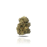 PUFFY Gorilla OG is an indica THCa strain created by crossing GG4 with Mango Kush. Its flavor profile combines sweet mango, pine, herbal notes, and a touch of earthiness. Users report that Gorilla OG delivers an intense high that kicks in quickly, starting with a heady buzz before spreading a tingling sensation throughout the body. This strain is known for inducing a deep, long-lasting couchlock, making it perfect for winding down at night with a movie or as a relaxing nightcap.
