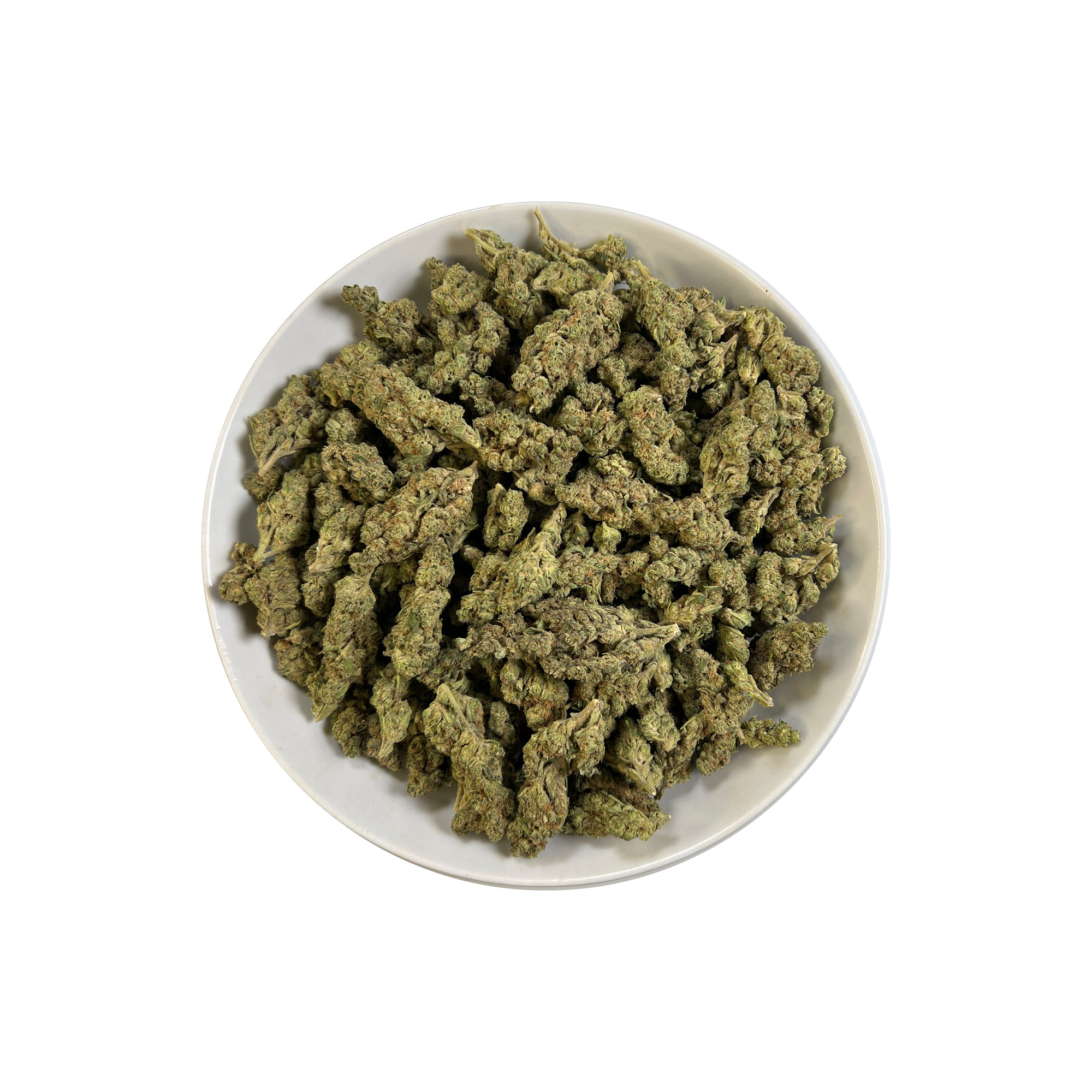 PUFFY Governmint Oasis is a balanced hybrid THCa strain, created by crossing GMO and Gush Mints. The aroma presents a funky, buttery richness layered with fresh, herbal undertones for a distinctive and savory scent. Visually captivating, the buds feature a mix of rich forest green and vibrant purple shades, dusted with frosty white trichomes and highlighted by bold, crimson pistils. Consumers often experience a calming body high accompanied by euphoria, tingling sensations, and an uplifted, clear-headed moo