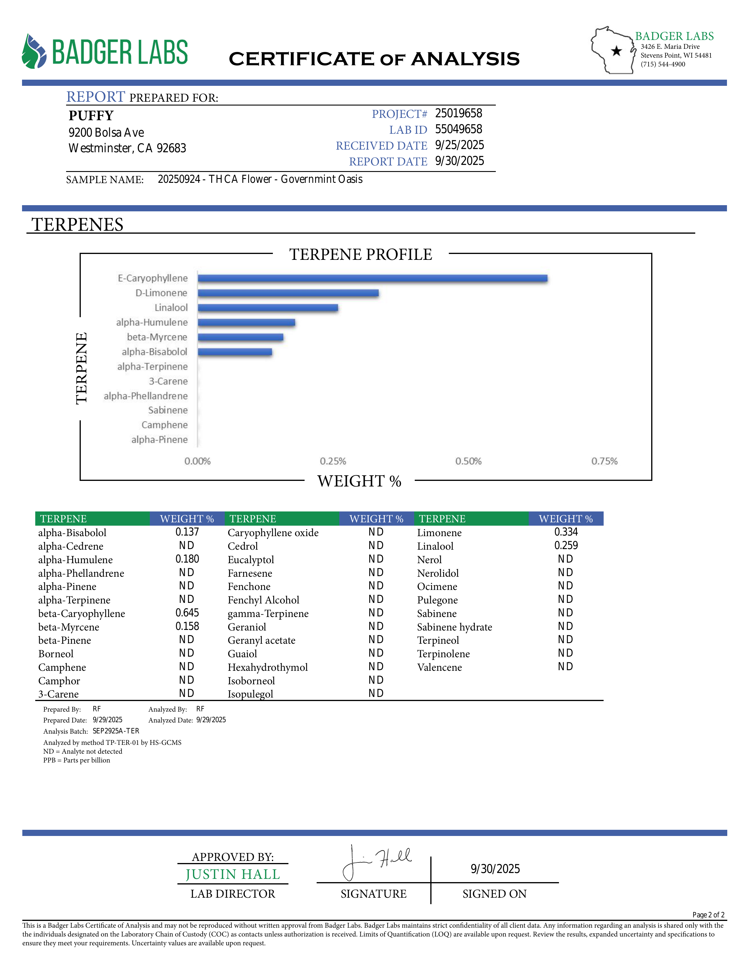 PUFFY Governmint Oasis is a balanced hybrid THCa strain, created by crossing GMO and Gush Mints. The aroma presents a funky, buttery richness layered with fresh, herbal undertones for a distinctive and savory scent. Visually captivating, the buds feature a mix of rich forest green and vibrant purple shades, dusted with frosty white trichomes and highlighted by bold, crimson pistils. Consumers often experience a calming body high accompanied by euphoria, tingling sensations, and an uplifted, clear-headed moo
