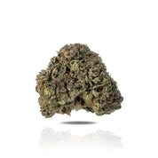 PUFFY Grapefruit is a sativa-dominant hybrid THCa strain, born from a cross between Cinderella 99 and an unknown fast-flowering sativa. Known for its vibrant and invigorating profile, this strain features a strong citrus aroma, with dominant grapefruit notes layered over hints of sweet tropical fruit, subtle earthiness, and mild pine. The flavor mirrors the scent tangy, sweet, and fruity, much like freshly squeezed grapefruit juice. Visually, it showcases medium-density buds ranging in color from bright lim