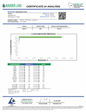 PUFFY Grape Gas THCa offers a distinctive aroma reminiscent of its name: sweet grapes and berries with hints of gas and earthy undertones. This potent strain was created from the fusion of Jet Fuel Gelato and Grape Pie, lending to its formidable properties. Features a deep violet hue with bright purple and green leaves accented with fuzzy, golden-orange hairs, caked with shimmering crystal trichomes. Users reported this as stimulating and blissful, sparking creativity while a subdued body high washes over t