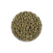 PUFFY Grape Gasoline is a balanced hybrid THCa strain, created from the fusion of Jet Fuel Gelato and Grape Pie. The aroma is a rich blend of earthy notes layered with herbal tones and a hint of warm spice. Visually, it shows deep violet tones with green leaves, orange pistils, and a sparkling coat of trichomes. Consumers often report a stimulating, blissful high that ignites creativity while a gentle body relaxation eases stress and enhances focus, ideal for social moments or creative pursuits.