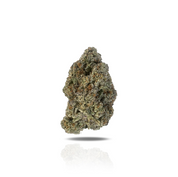 PUFFY Grape Sundae is a well-balanced hybrid THCa strain born from the flavorful cross of Sundae Driver and Grape Pie Bx. It delights the senses with a rich flavor profile of ripe grapes, creamy vanilla, berry compote, and candied fruit. Its aroma is equally captivating, blending the scent of fermented grapes with tropical notes and juicy peaches. Visually, the buds are stunning showcasing deep violet and emerald green hues, generously coated in a frosty layer of trichomes. Consumers often report a euphoric