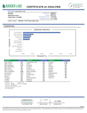 PUFFY Green Crack (smalls) is a sativa-dominant hybrid THCa strain, its lineage is thought to originate from a cross between the legendary Skunk #1 and an Afghani or another traditional indica landrace. The aroma is a vibrant blend of zesty citrus, rich earthy undertones, and a sharp hint of diesel. Visually, the dense buds feature light-to-lime green with purple hues, bright orange pistils, and a frosty coating of trichomes. Consumers often report an invigorating mental lift that sparks creativity, sharpen