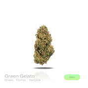 PUFFY Green Gelato is a balanced hybrid THCa strain, born from the elite pairing of Thin Mint Girl Scout Cookies and Sunset Sherbet. The aroma delights the senses with a harmonious blend of sweet grape, delicate floral notes, and a hint of creamy vanilla. Visually, it features dense, compact buds with deep green and purple hues, bright orange pistils, and a thick, frosty blanket of trichomes. Consumers often report an uplifted, clear, and creatively focused mental state paired with warm, relaxing body ease 
