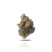 PUFFY Guava THCa flower is a phenotype derived from the legendary Gelato. This sativa-dominant hybrid provides a balanced experience, delivering uplifting euphoria alongside gentle relaxation. Users frequently enjoy its ability to enhance mood and creativity, making it suitable for social settings or creative activities. Its vibrant profile appeals to both newcomers and enthusiasts alike.