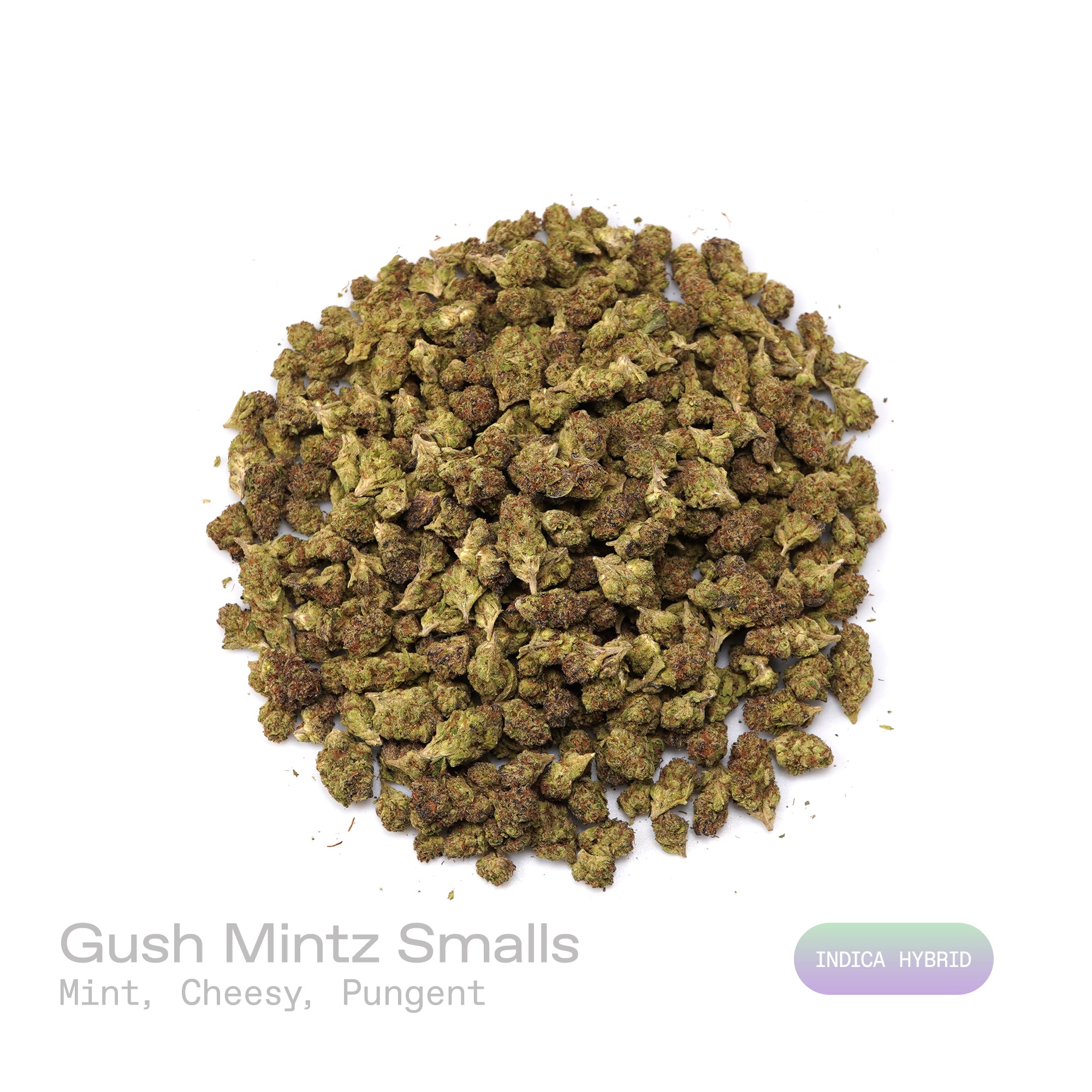 PUFFY Gush Mintz (smalls) is an indica-dominant hybrid THCa strain, born from the cross of Kush Mints × (F1 Durb × Gushers). The aroma is a distinctive blend of cool mint and savory cheese, layered with a sharp, pungent edge that gives it a bold and memorable character. Visually, the buds are dense and striking, showcasing dark green and deep purple hues intertwined with vibrant orange pistils and a sparkling layer of shimmering trichomes. Consumers often describe a powerful, body-zapping high that dissolve