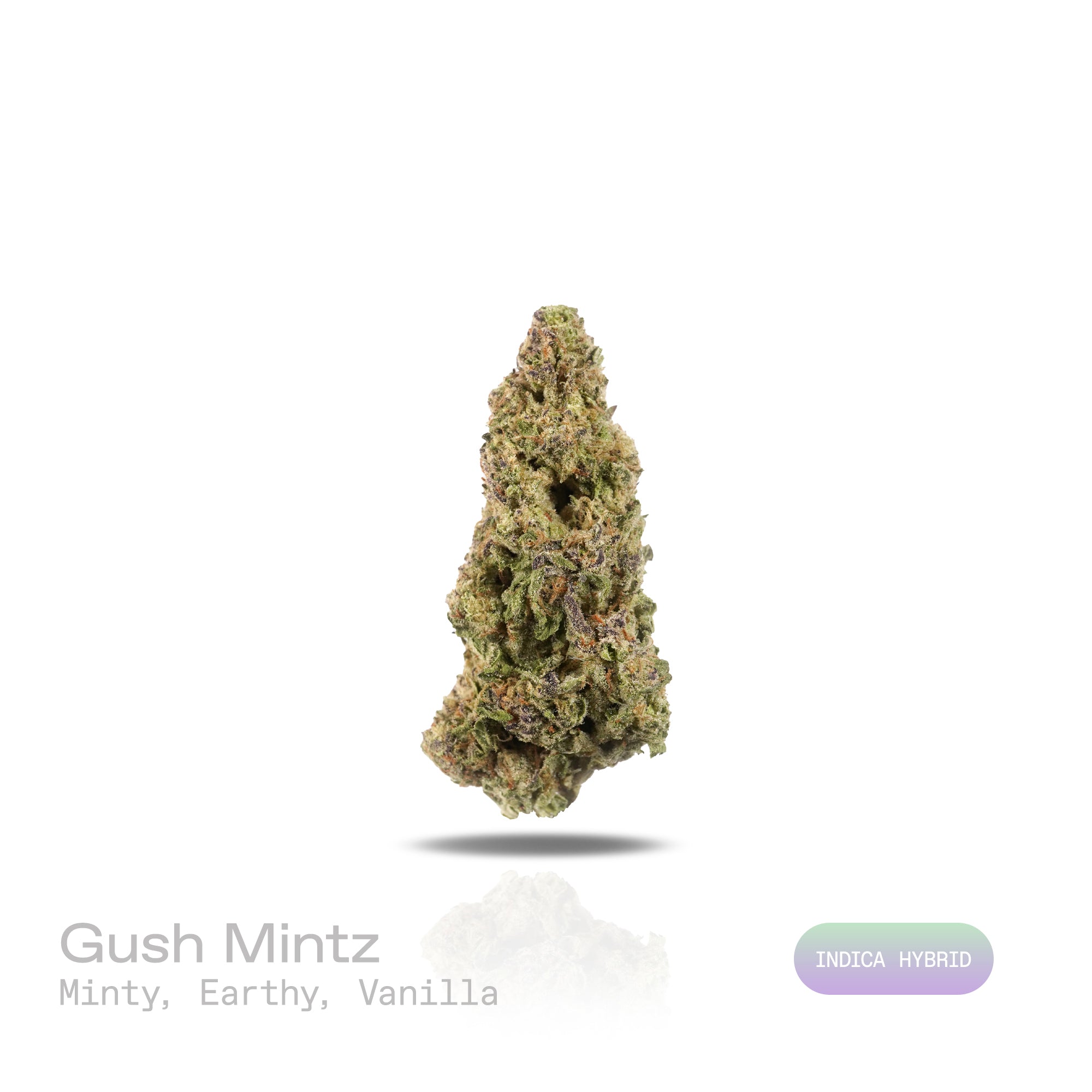 PUFFY Gush Mintz is an indica-dominant hybrid THCa strain, born from the cross of Kush Mints × (F1 Durb × Gushers). The aroma is a refreshing blend of minty coolness, earthy richness, and subtle hints of creamy vanilla. Visually, the buds are dense and striking, showcasing dark green and deep purple hues intertwined with vibrant orange pistils and a sparkling layer of shimmering trichomes. Consumers often describe a powerful, body-zapping high that dissolves stress and tension, leaving the mind calm and the