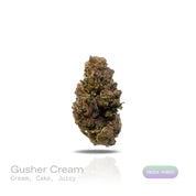 PUFFY Gusher Cream is a potent indica-dominant hybrid THCa strain crafted from the flavorful fusion of Gelato #41 and the legendary Triangle Kush. The aroma is a delightful fusion of creamy richness, sweet cake, and a burst of juicy freshness. Visually, the buds are dense and resinous, with rich green and purple hues, fiery orange pistils, and a heavy dusting of frosty white trichomes. Consumers often report a sparkling cerebral rush that uplifts the mood and enhances mental clarity, followed by a gentle, f