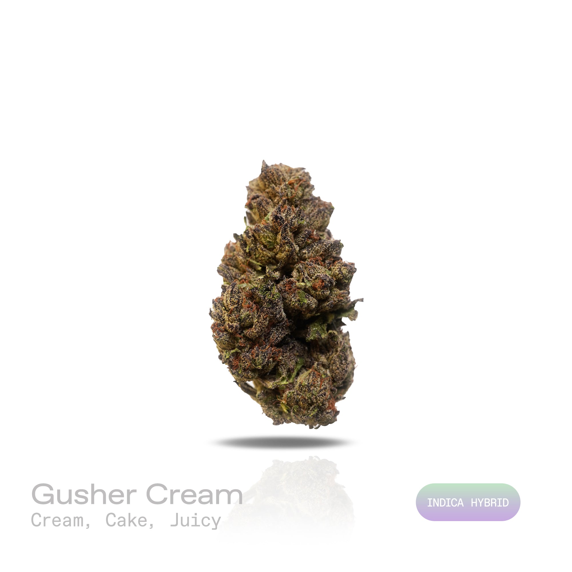PUFFY Gusher Cream is a potent indica-dominant hybrid THCa strain crafted from the flavorful fusion of Gelato #41 and the legendary Triangle Kush. The aroma is a delightful fusion of creamy richness, sweet cake, and a burst of juicy freshness. Visually, the buds are dense and resinous, with rich green and purple hues, fiery orange pistils, and a heavy dusting of frosty white trichomes. Consumers often report a sparkling cerebral rush that uplifts the mood and enhances mental clarity, followed by a gentle, f