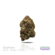 PUFFY Gushers is an indica-dominant hybrid THCa strain, created by crossing Gelato #41 and Triangle Kush. The aroma is a rich blend of sweet, doughy notes layered with a deep earthy undertone. Visually, the buds impress with dense forest-green hues and purple accents, orange pistils and frosty trichomes. Consumers often report a bright, euphoric head rush that gradually melts into a calm, full-bodied relaxation.
