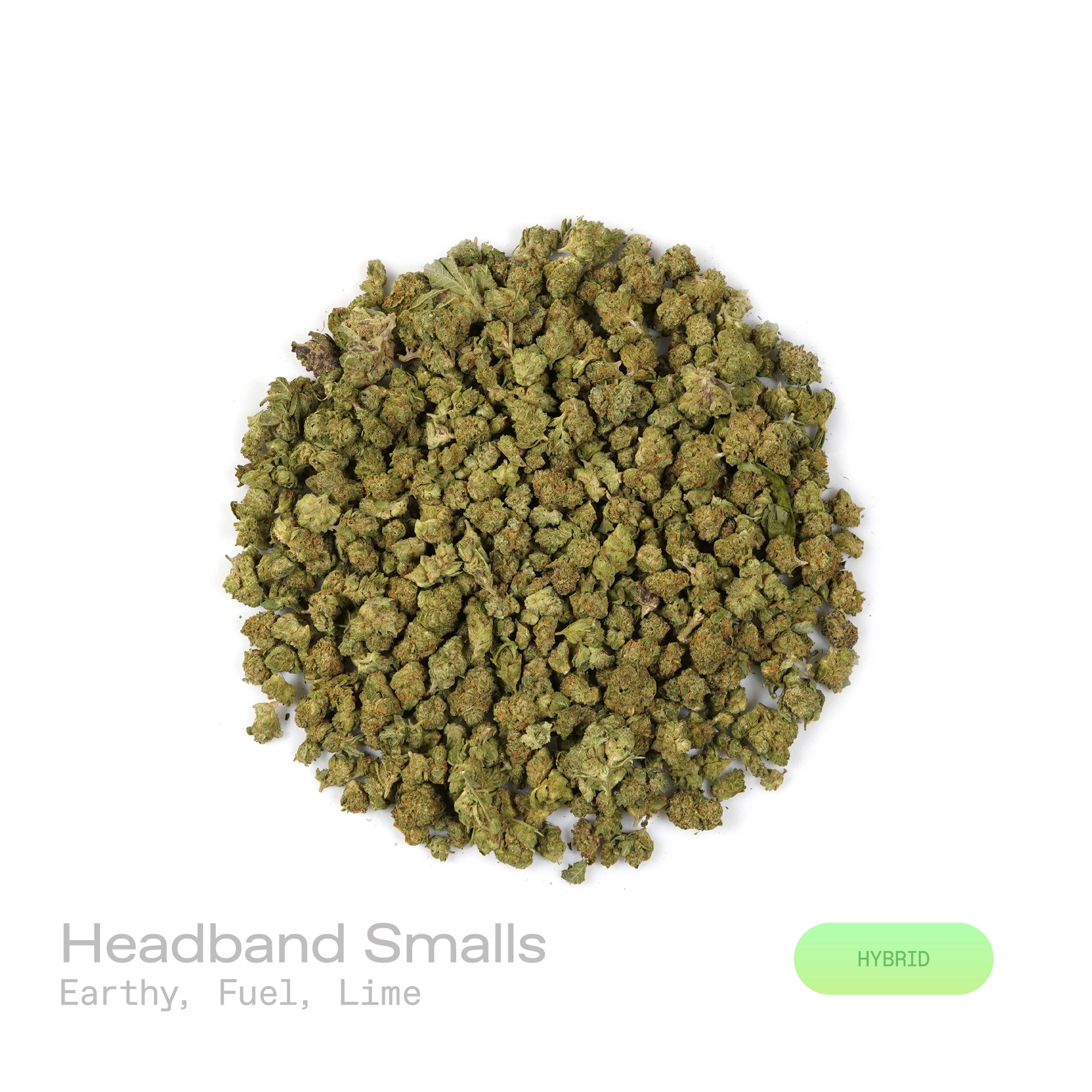 PUFFY Headband (smalls) is a balanced hybrid THCa strain created by crossing cross OG Kush and Sour Diesel. The aroma blends rich earthy tones with sharp fuel notes and a zesty hint of lime for a bold, invigorating scent. Visually, dense buds of deep forest green with lime highlights, bright orange pistils, and a frosty trichome coating. Consumers often experience an uplifting and euphoric high that sparks creativity while delivering deep, soothing body relief for tension and discomfort.