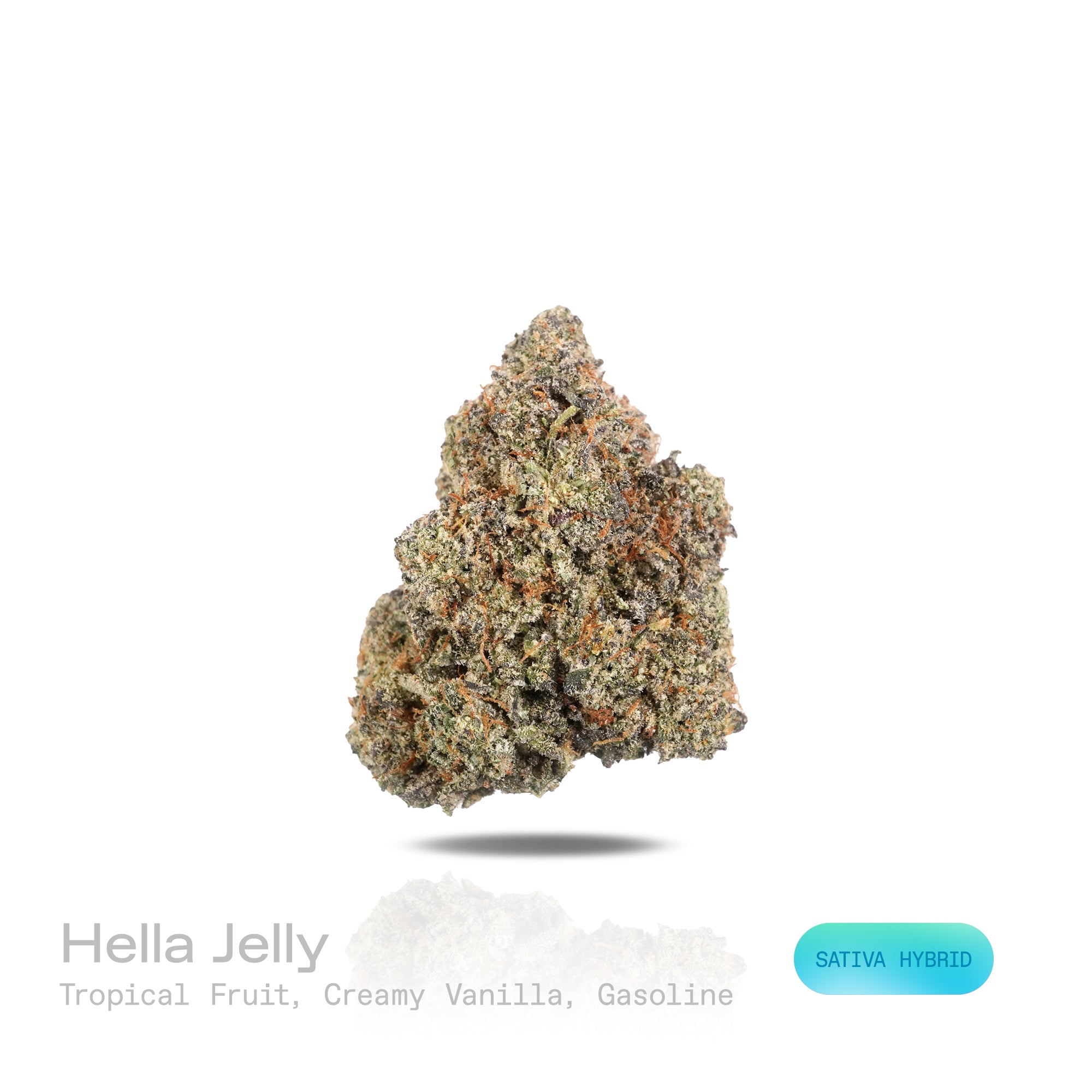 PUFFY Hella Jelly is a sativa-dominant hybrid THCa strain, crafted from the legendary lineage of Very Cherry and Notorious THC. The aroma is a rich blend of tropical fruit sweetness, creamy vanilla undertones, and a sharp, lingering hint of gasoline. Visually, dense green buds with purple hues and fiery orange pistils are coated in sticky trichomes. Consumers often report a euphoric experience paired with happiness, uplifting energy, sharpened clarity, and an invigorating sense of motivation.